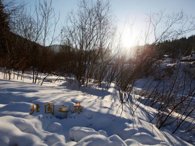 北京北国冰雪世界：梦幻冬季之旅